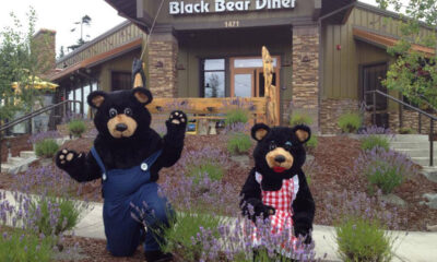 black bear diner