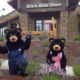 black bear diner